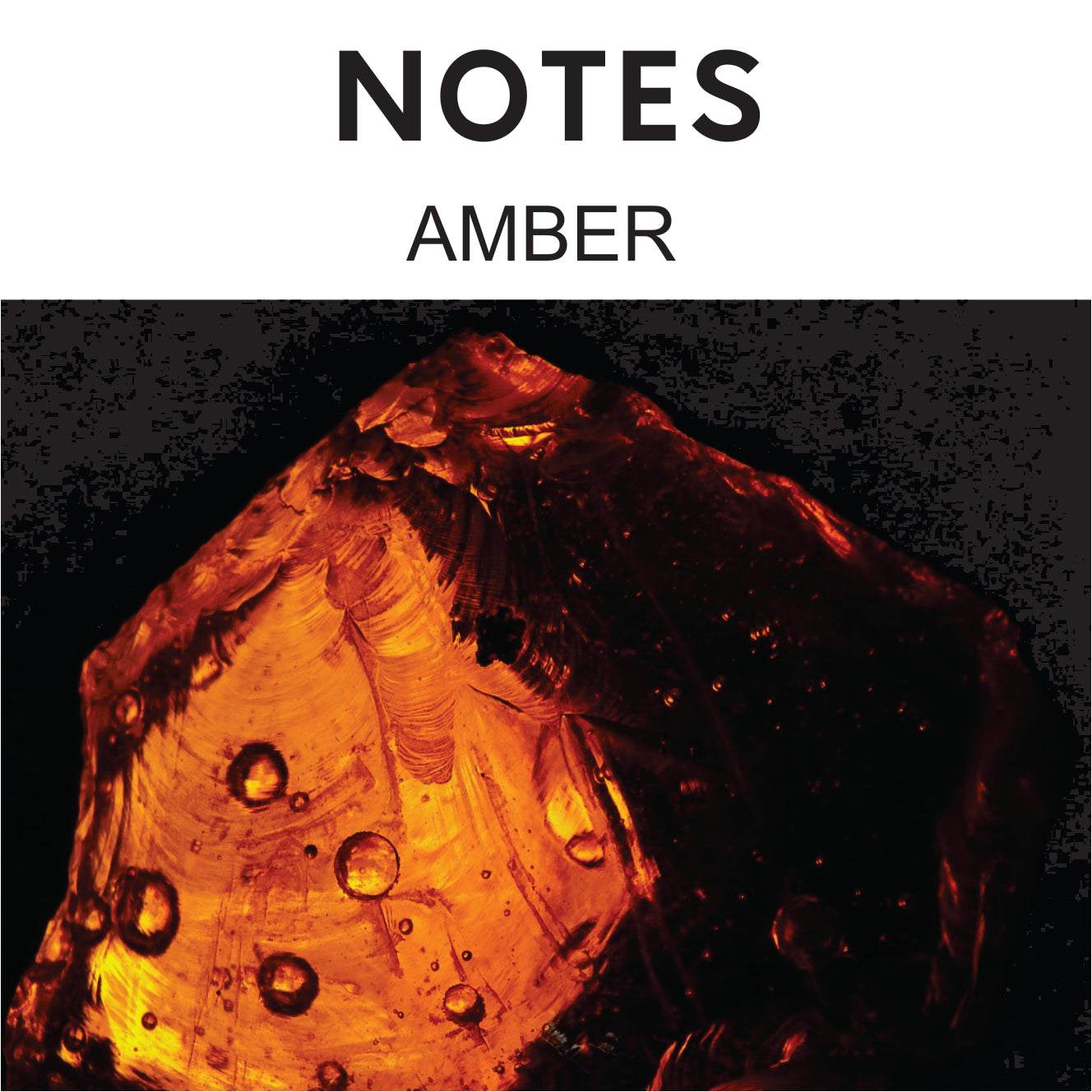 AMBER ROSE - 50ml Unisex Perfume