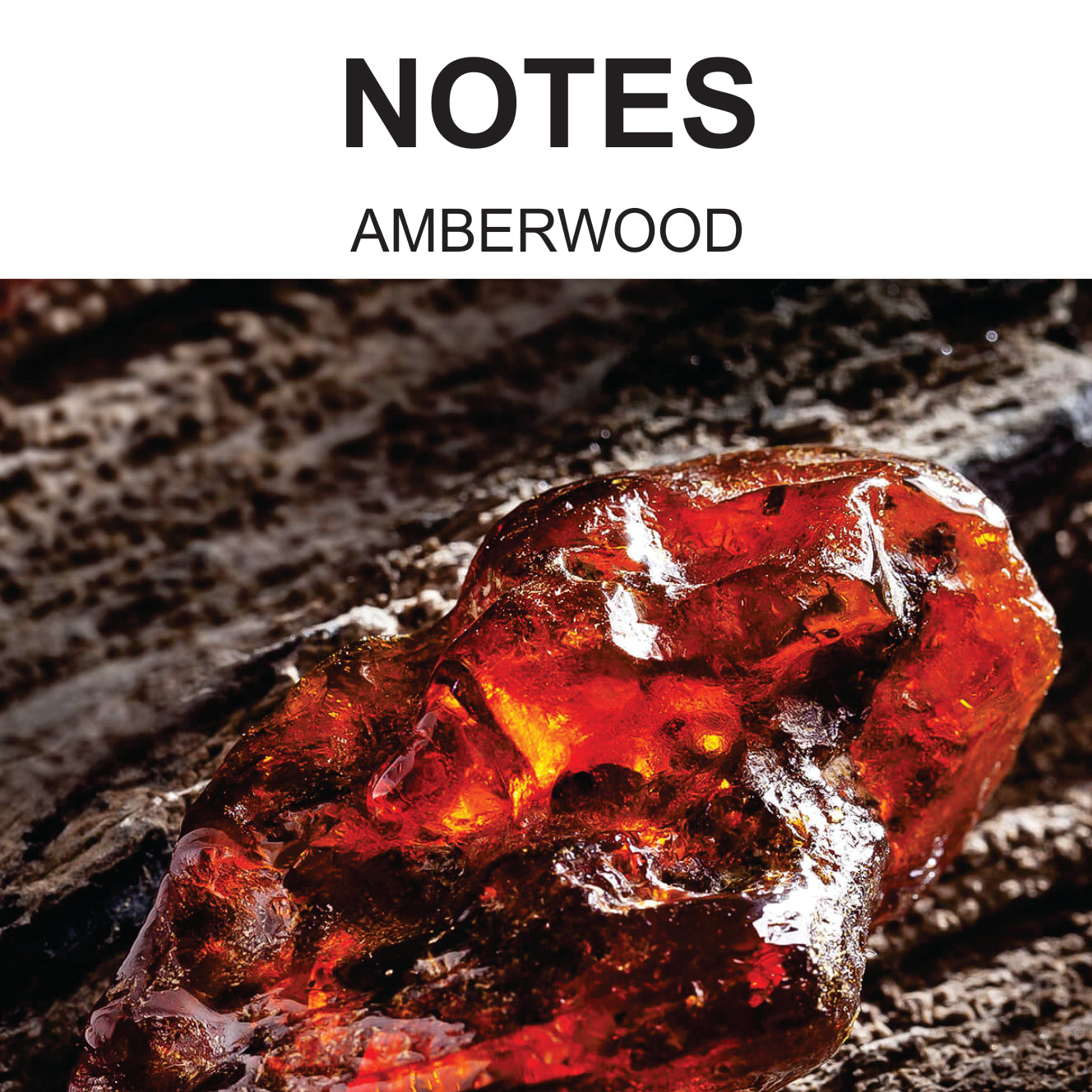 WANTED 50ml Perfume UNISEX